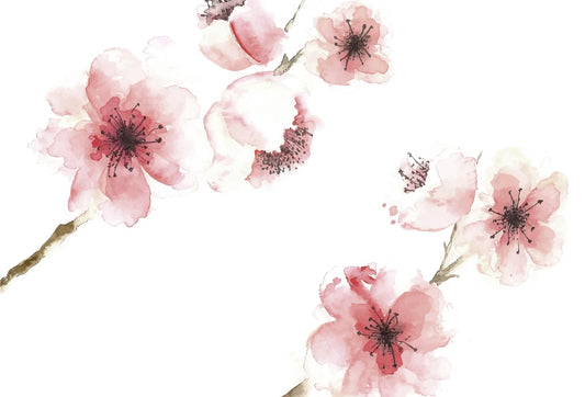 Papel tapiz con delicadas flores rosadas en acuarela sobre fondo blanco