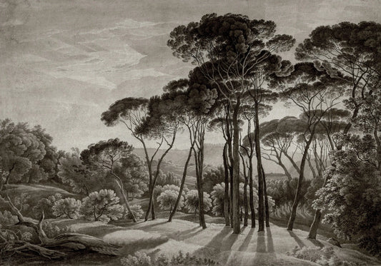 Papel tapiz mural con paisaje de árboles altos y colinas en estilo grabado clásico sepia
