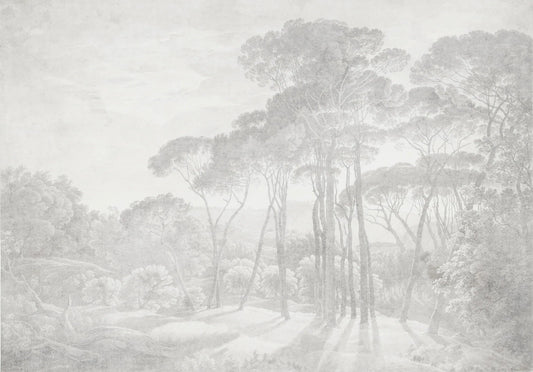 Papel tapiz mural con paisaje artístico de altos pinos en tonos gris perla y estilo grabado clásico.