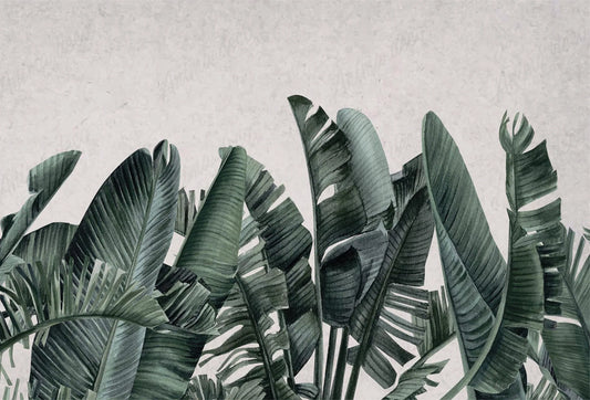 Papel tapiz con ilustración de grandes hojas de banano en verde sobre fondo neutro texturado.