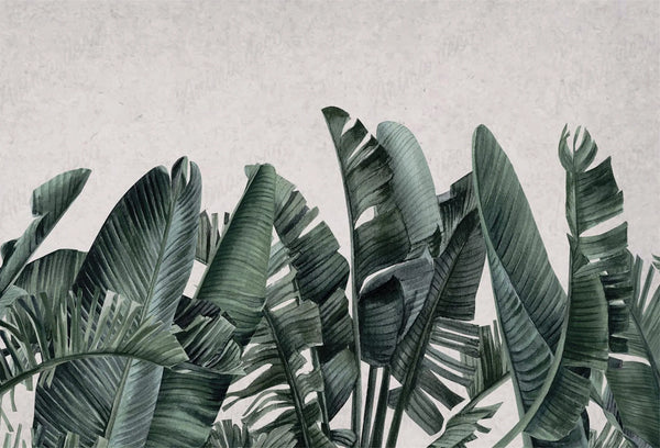 Papel tapiz con ilustración de grandes hojas de banano en verde sobre fondo neutro texturado.
