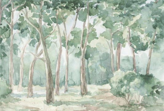 Papel tapiz mural con paisaje de bosque pintado en acuarela en tonos verdes suaves y beige