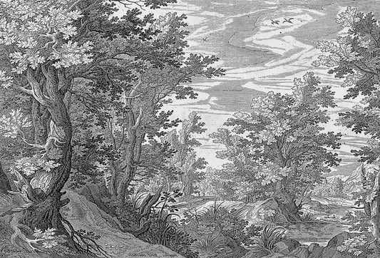 Papel tapiz con grabado clásico de bosque frondoso y sendero en tonos grafito y gris