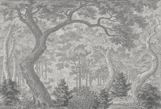 Papel tapiz mural con ilustración de bosque en grabado artístico monocromático en tonos grises y fondo claro.