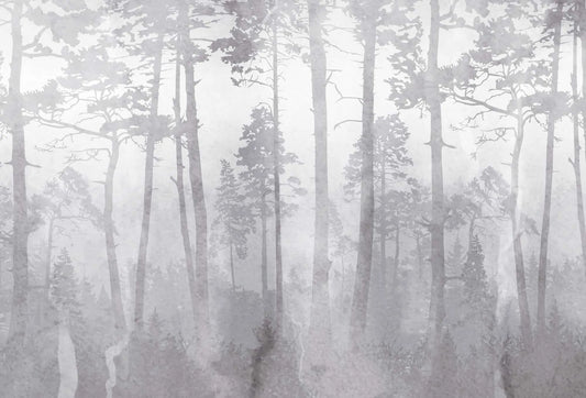 Papel tapiz mural Ghaba con paisaje de bosque de pinos entre la niebla en tonos gris y blanco