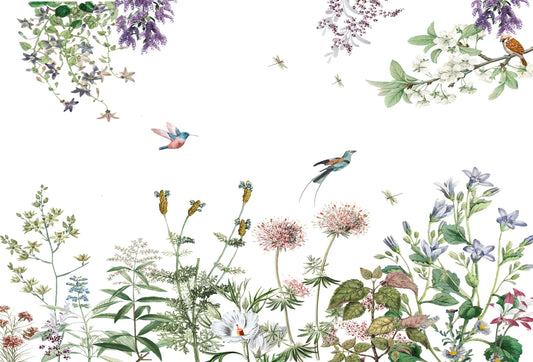 Papel tapiz mural con flores silvestres, ramas colgantes, colibríes y aves en acuarela sobre fondo blanco