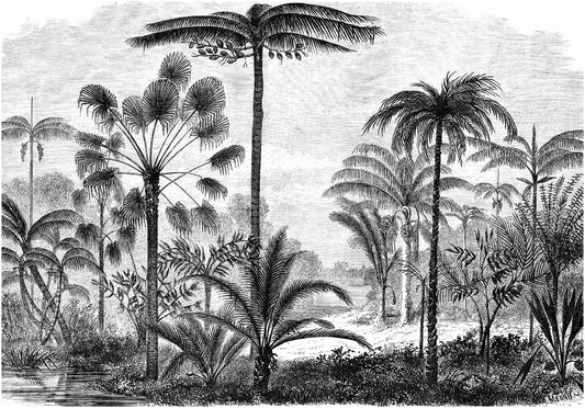 Papel tapiz mural con grabado vintage de palmeras y paisaje tropical en blanco y negro sobre fondo claro.