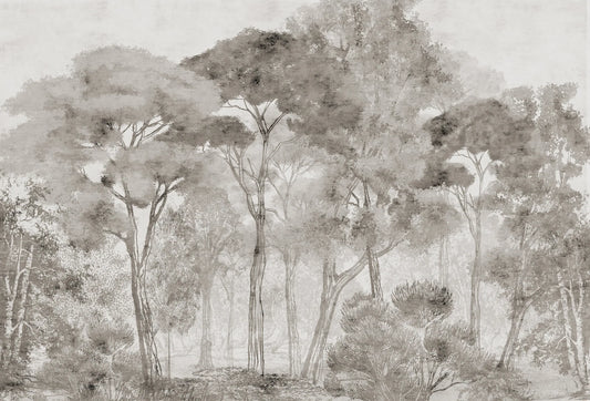 Papel tapiz mural Ontario con diseño de bosque y árboles en grabado monocromático gris cálido