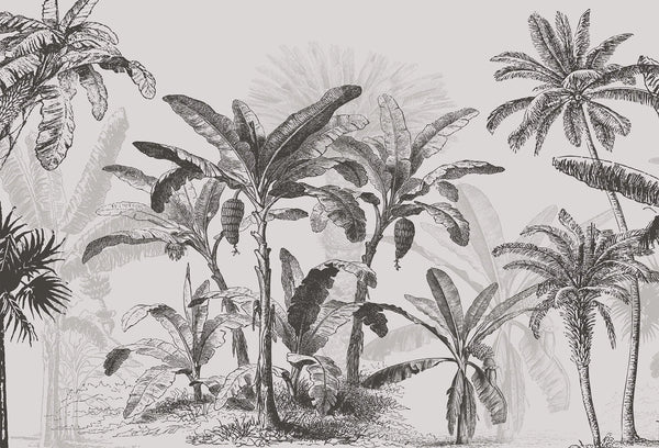Papel tapiz mural con ilustración botánica vintage de palmeras y bananeros en tonos grisáceos.