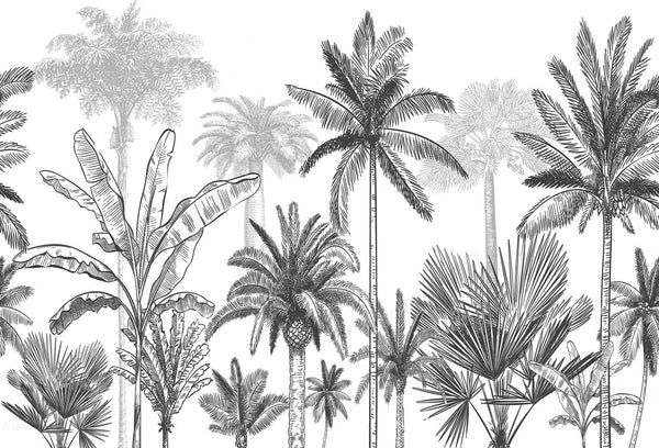 Papel tapiz mural botánico con ilustración de palmeras y plantas tropicales en blanco y negro estilo grabado.