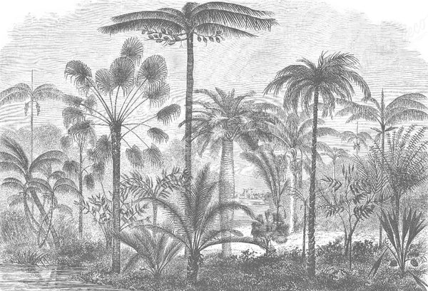 Papel tapiz mural con grabado botánico vintage de palmeras tropicales en blanco y negro.