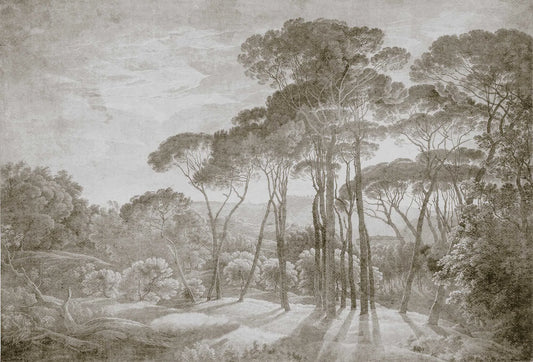 Papel tapiz mural con paisaje de pinos mediterráneos en grabado artístico tono sepia y beige