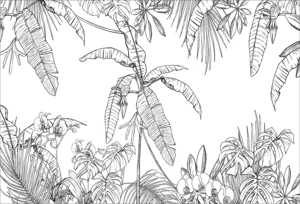 Papel tapiz botánico con ilustración lineal en blanco y negro de hojas tropicales y orquídeas