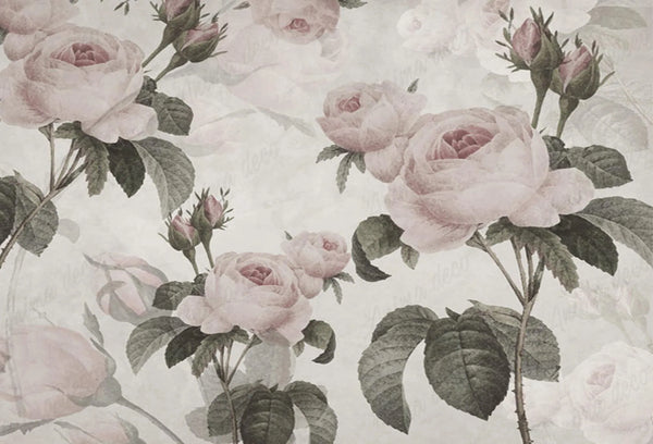 Papel tapiz con ilustración botánica de rosas clásicas en tonos rosa empolvado y follaje verde grisáceo.