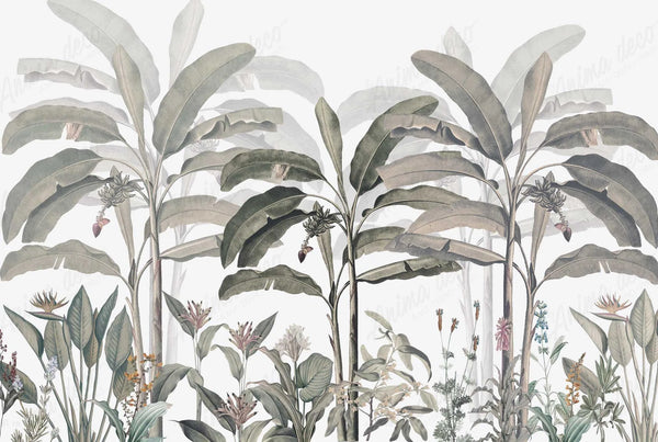 Papel tapiz mural con ilustración botánica de palmeras plataneras en tonos verde salvia y fondo claro