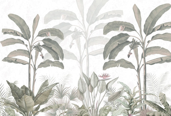 Papel tapiz mural con plataneros y palmeras tropicales en tonos verdes suaves y fondo claro.