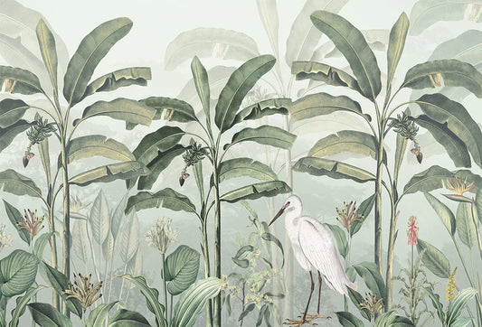 Papel tapiz mural botánico con palmeras plataneras, garza blanca y fondo verde salvia claro