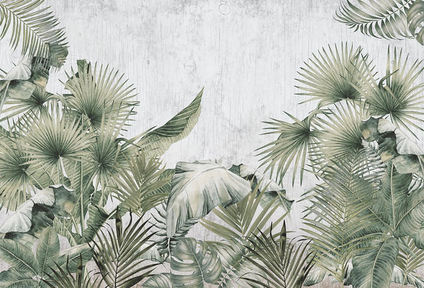 Papel tapiz con hojas de palmera y monstera en tonos verde sabio sobre un fondo texturizado de madera rústica blanca.