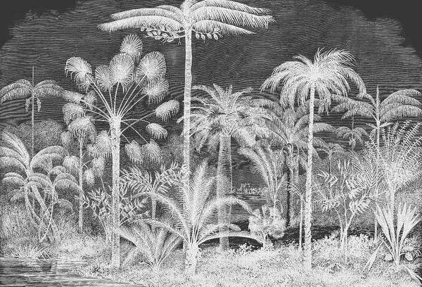 Papel tapiz con grabado botánico de palmeras tropicales en blanco y negro para pared
