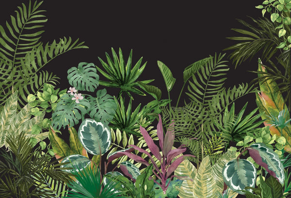 Papel tapiz mural botánico con hojas tropicales de monstera y helechos sobre fondo negro.