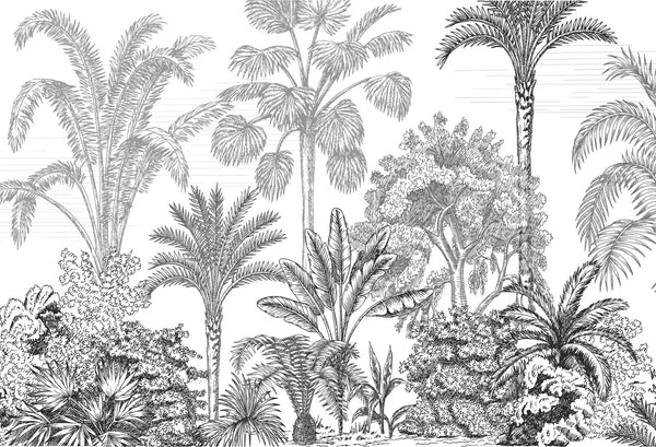 Papel tapiz con grabado botánico en blanco y negro de palmeras y follaje tropical para pared.